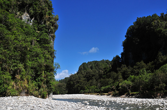 Dilemma Creek, Inland Pack Track, Paparoa National Park