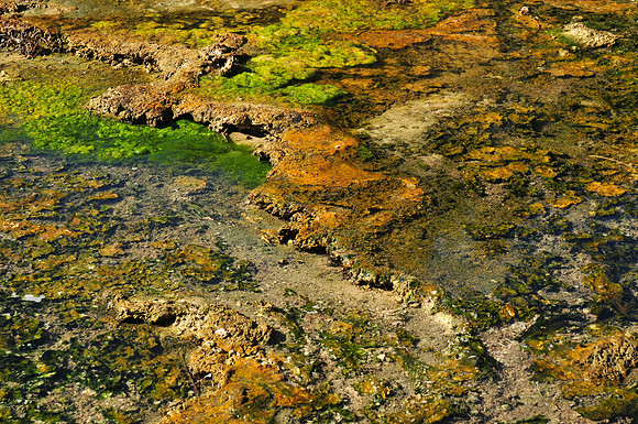 Warbrick Terrace, Waimangu thermal area
