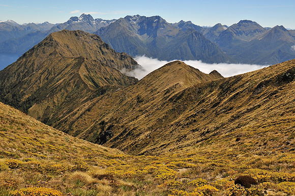 Forward Peak and the Murchison Mountains from the Kepler Track