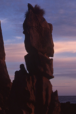 Anapai Bay, Abel Tasman Coast Track