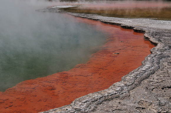 The Champagne Pool, Wai-O-Tapu thermal area