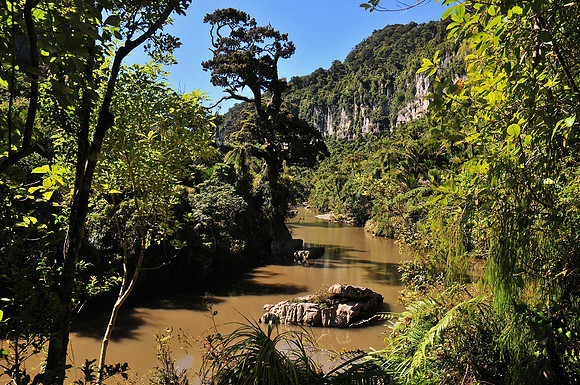 Pororari River, Paparoa National Park