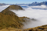 Forward Peak from the Kepler Track
