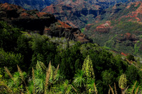 Waimea Canyon, Kauai
