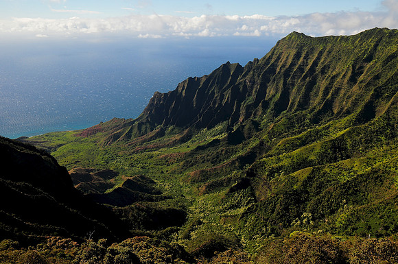 Kalalau Valley from Koke'e State Park, Kauai