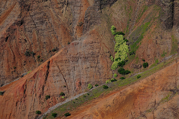 Waimea Canyon, Kauai