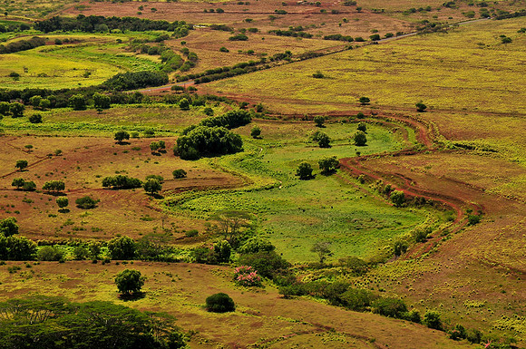 View from Nounou Mountain, Kauai