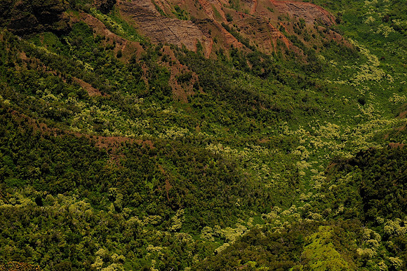 Kalalau Valley from Koke'e State Park, Kauai