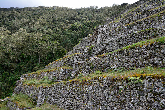 Intipata