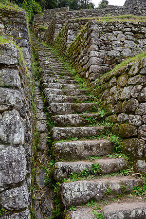 Intipata