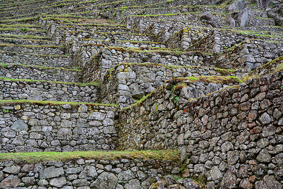 Intipata