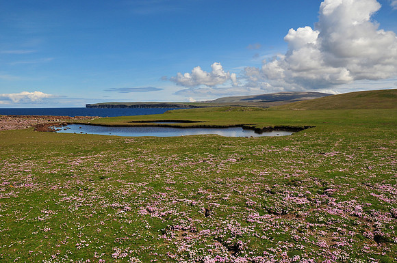 Eshaness, Mainland, Shetland
