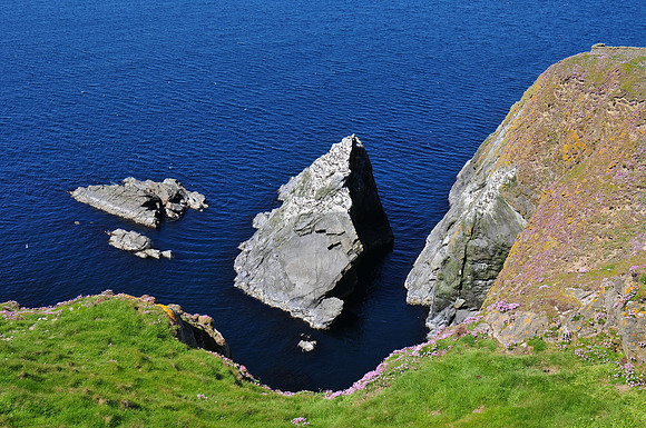 Sumburgh Head, Mainland, Shetland