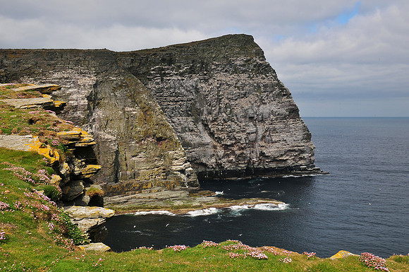 The Noup of Noss, Noss National Nature Reserve, Isle of Noss, Shetland