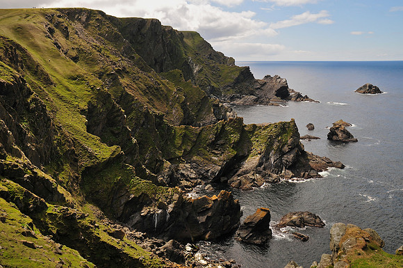 Hermaness National Nature Reserve, Isle of Unst, Shetland