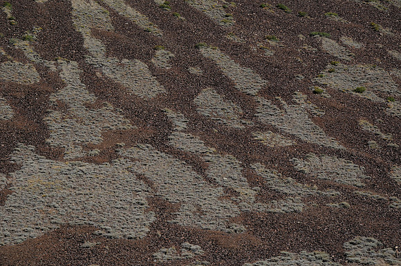 Patterned slope, White Mountains