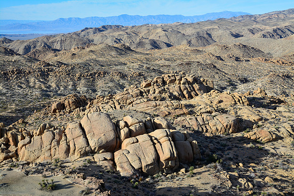 Joshua Tree National Park