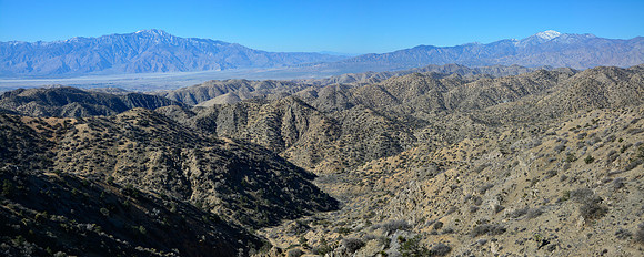 Joshua Tree National Park