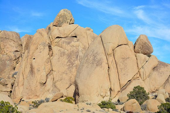 Joshua Tree National Park