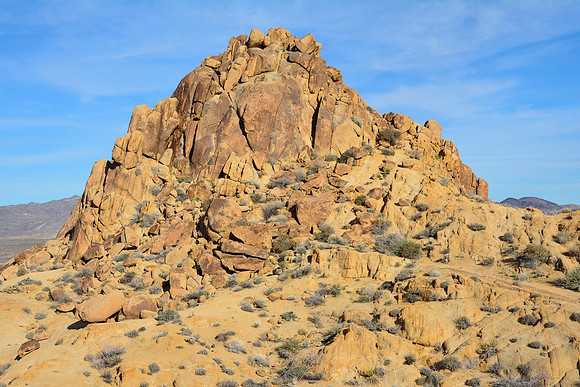 Joshua Tree National Park