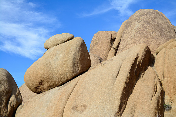 Joshua Tree National Park