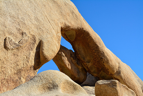Joshua Tree National Park