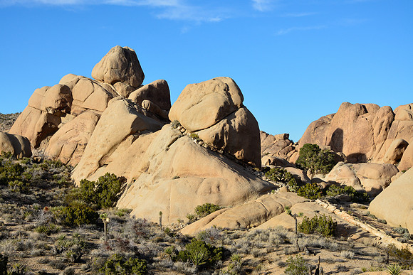 Joshua Tree National Park