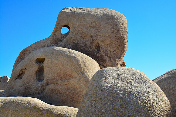 Joshua Tree National Park