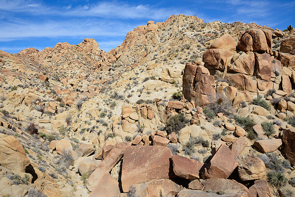 Joshua Tree National Park