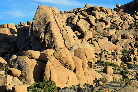 Joshua Tree National Park