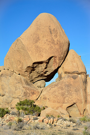 Joshua Tree National Park