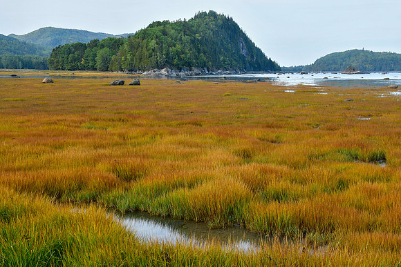 The salt marsh at Pointe aux Èpinettes, Parc du Bic