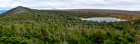 Mont Albert's north summit, Parc de la Gaspésie