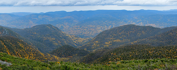 Looking  north from near the Rabougris shelter on Mont Albert, Parc de la Gaspésie