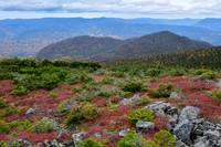 Looking  north from near the Rabougris shelter on Mont Albert, Parc de la Gaspésie