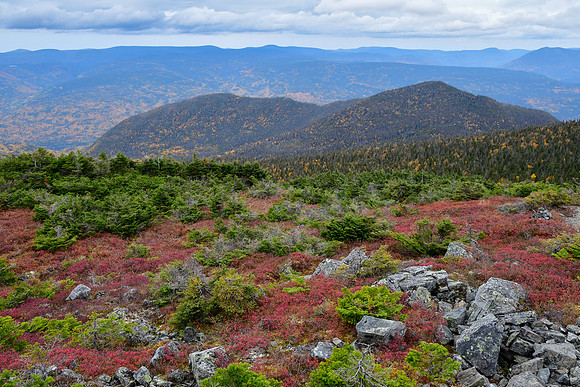 Looking  north from near the Rabougris shelter on Mont Albert, Parc de la Gaspésie