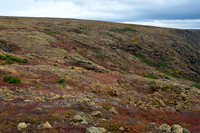 The top of the Grande Cuve from the Belvédère du Versant on Mont Albert, Parc de la Gaspésie