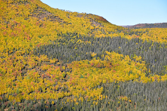 The view from the Site d'Observation du Brûlé, Parc de la Gaspésie