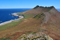 Falkland Islands