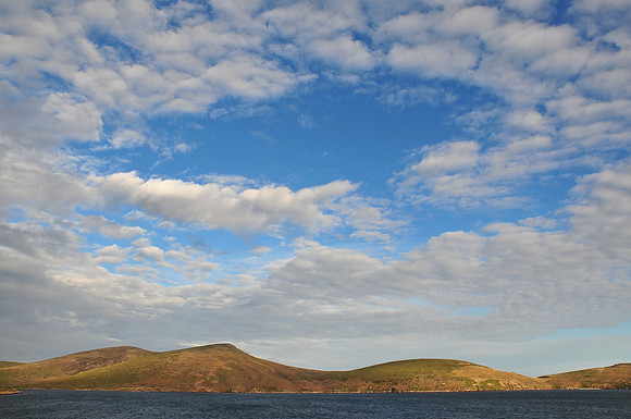 Looking from New Island toward Weddell Island