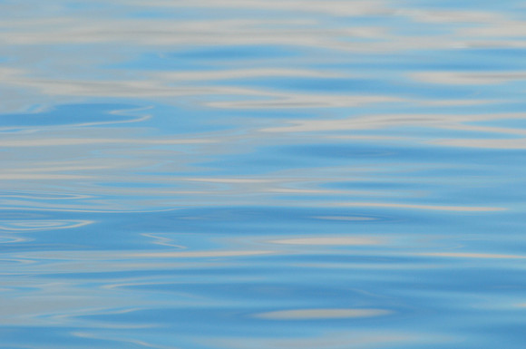 Iceberg reflection, Cierva Cove