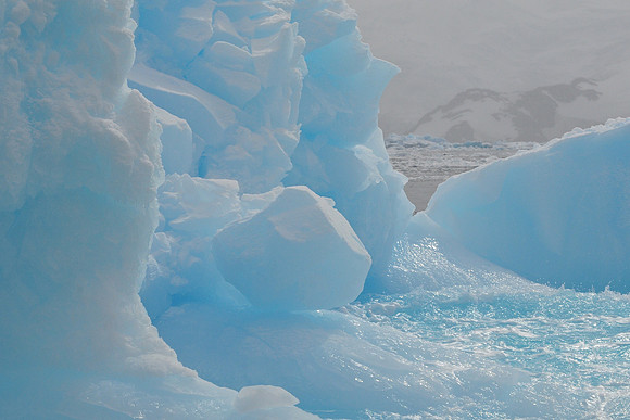 Iceberg, Cierva Cove
