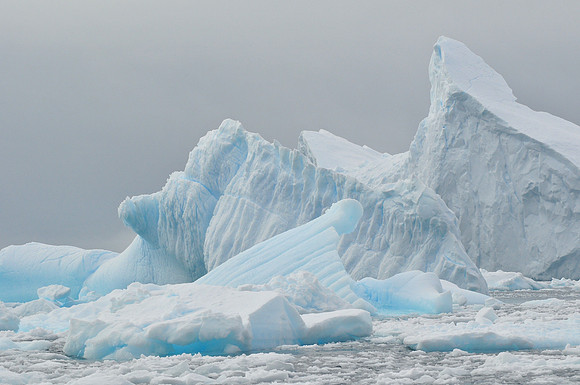 Icebergs, Cierva Cove