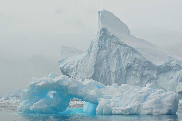Icebergs, Cierva Cove