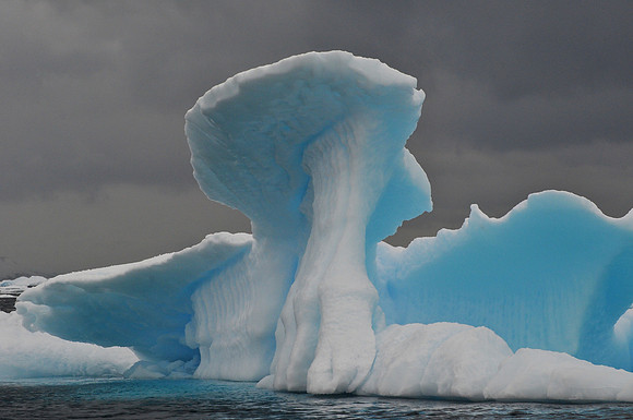 Iceberg, Neko Harbour