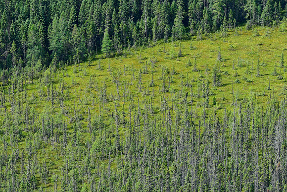 Looking down at the marsh west of Mont Chaudron from the summit