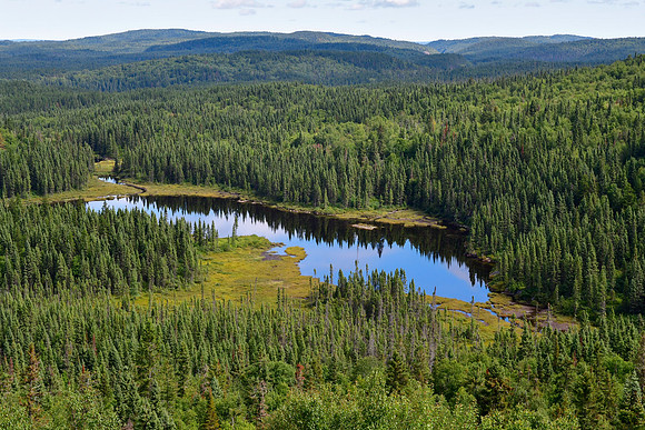 Lac aux Braconniers from the fire tower on the Sentier Le Garde-Feu, Parc d'Aiguebelle
