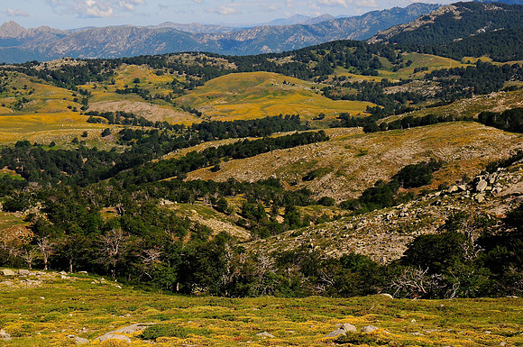 The Plateau di Coscione
