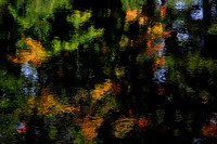 Reflections on Kirk Creek