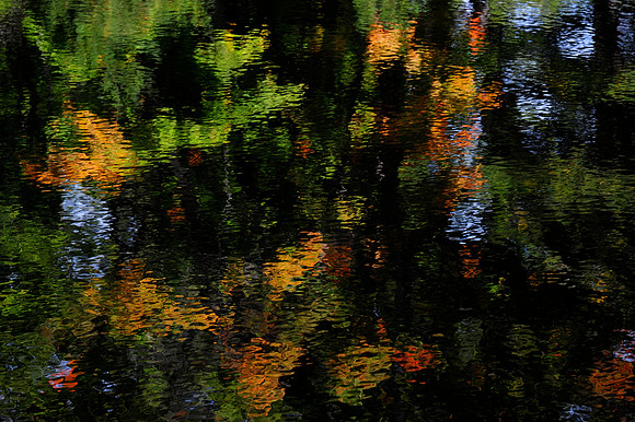 Reflections on Kirk Creek